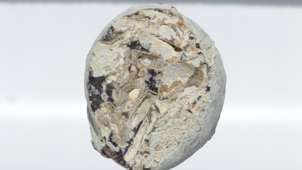 agaat geode op zwarte standaard